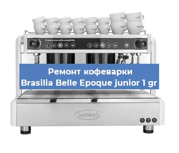 Чистка кофемашины Brasilia Belle Epoque junior 1 gr от кофейных масел в Новосибирске